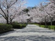 ���R���������^������̎ʐ^2