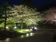 ���R���������^������̎ʐ^3