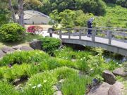 ���R���������^���傤�Ԃ̎ʐ^2