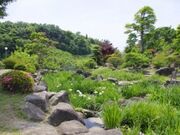 ���R���������^���傤�Ԃ̎ʐ^3