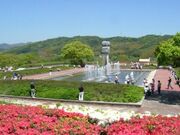 �i���R�����^���̎ʐ^1