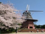 �i���R�����^������̎ʐ^1