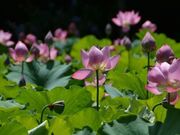 ���쐼�Βn�����^�͂��̎ʐ^1