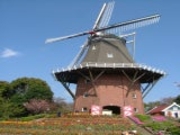 �i���R�����^�`���[���b�v�̎ʐ^1