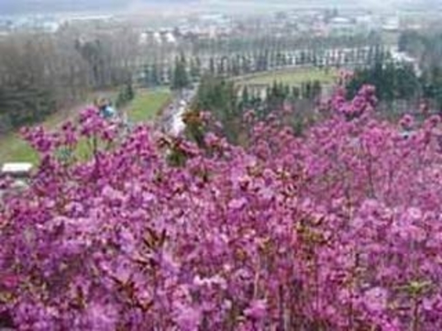 ������������