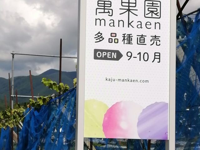 �Ԃǂ��������݉ʉ�