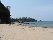 �Ճ��l�C������̎ʐ^1