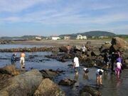 �݂����ӂꂠ���r�[�`�̎ʐ^1