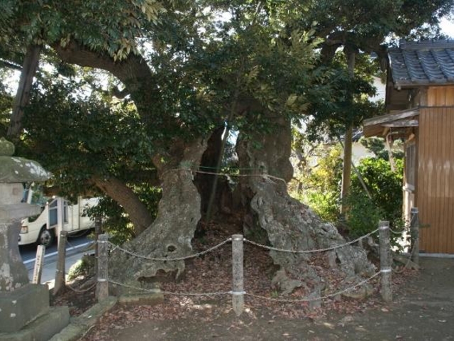 ��`�_�Ђ̎ʐ^1