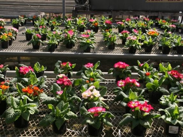 �����Ԃ�