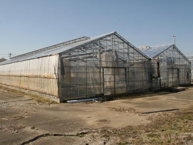 �����Ԃ�