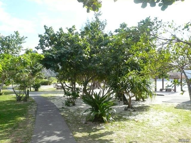 ��_�R����_��_�R����