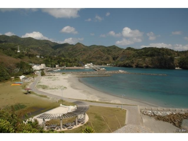 �e�l�Ȃ�������_�e�l�Ȃ�������