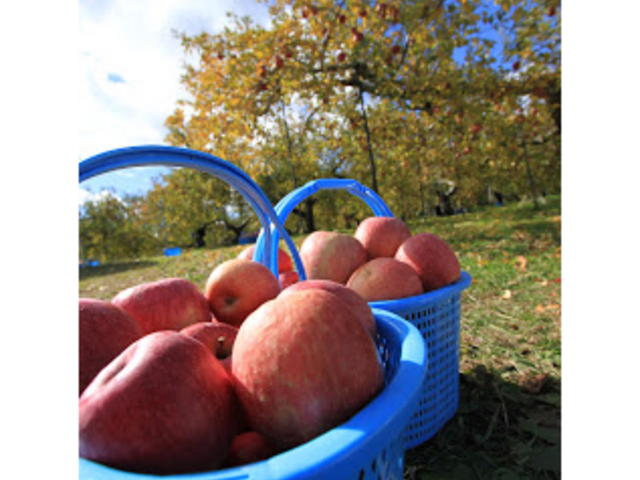 りんご屋たけむら】アクセス・営業時間・料金情報 - じゃらんnet