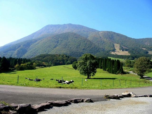 ���P�q��̎ʐ^1