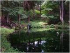 「信州の名水・秘水」　大沼の池の湧水の写真1