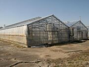 �����Ԃ��̎ʐ^3