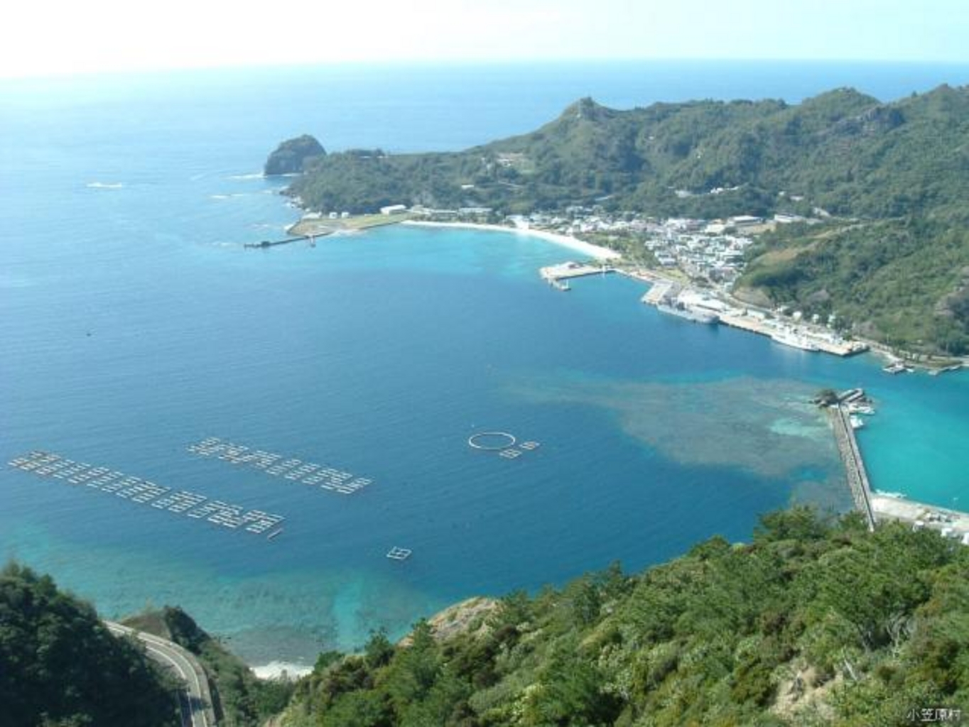 夏のオススメ観光 小笠原編 都内の離島 南の島の楽園父島 母島へレッツゴー じゃらんニュース