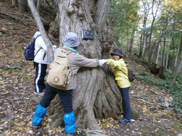 �����P���T���R�[�X