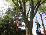 ������Ɏ��R���̎ʐ^2