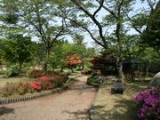 �i������΂̃A���j�e�B�̎ʐ^1