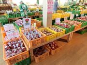 �l�G�V�N���n�L��u���E����v�_�Y���������̎ʐ^2