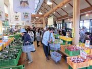 �l�G�V�N���n�L��u���E����v�_�Y���������̎ʐ^3