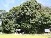 ��{�_�Ђ̎ʐ^1