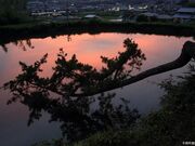 �������t���_�Ђ̎ʐ^1