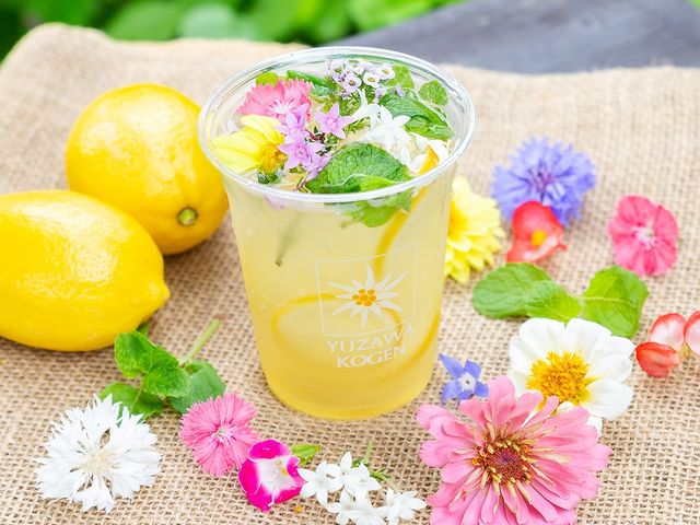 unj[̃t[l[hvvAv̗KonEXŔ̔_򍂌[vEFC