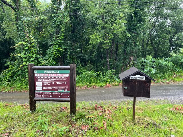 ��J���o�R���̎ʐ^1