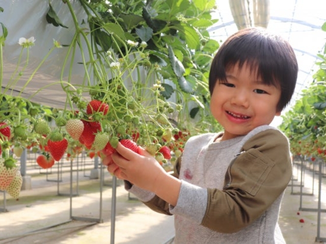 �͂��Ɣ_��