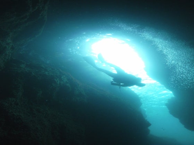 �C���_�C�r���O�Z���^�[�̎ʐ^1