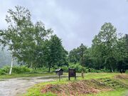 ��J���o�R���̎ʐ^2