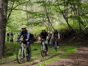 ��ʎВc�@�l�@�M�B���Ȃ̒��ό�����̎ʐ^3