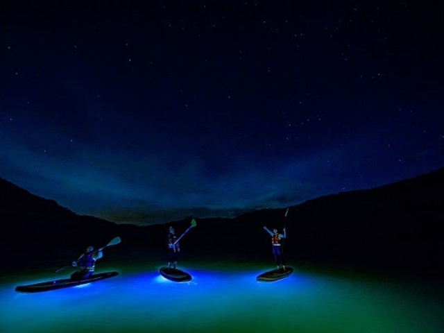 SUP�iStand Up Paddleboard)�̎ʐ^1