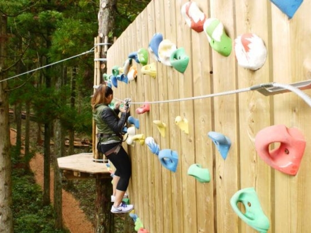 �t�H���X�g�A�h�x���`���[�E�L��