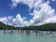 SUP�iStand Up Paddleboard)�̎ʐ^2