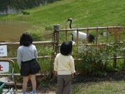 ���т���̗��̎ʐ^1