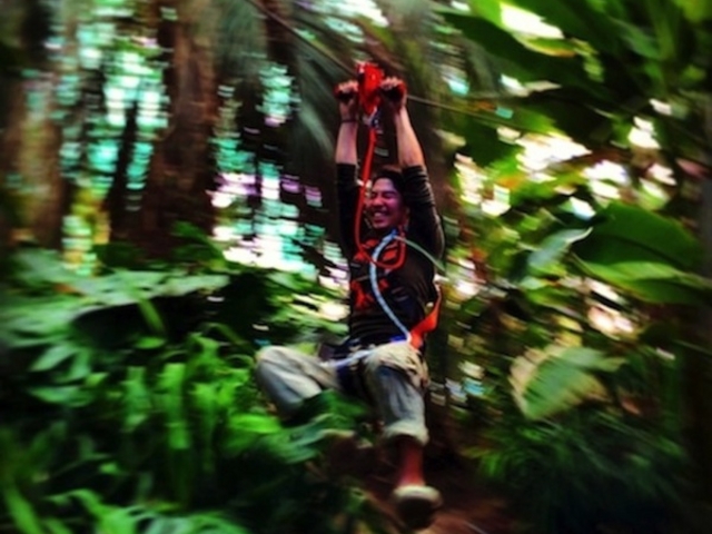 �V�A�g���N�V�����s�^�[�U���W�b�v�t_���l�t�����[�p�[�N