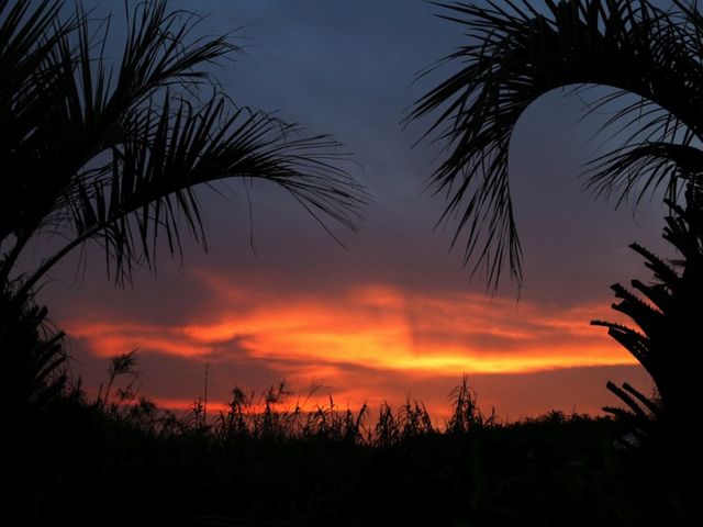 �썑���[�h���Y���܂�_���l�t�����[�p�[�N