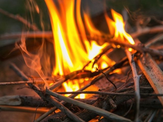 �L�����v�Ƃ����΂�����_���l�t�����[�p�[�N