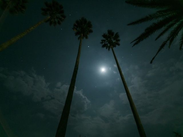 �󂪍L�����_�̐��󂪌���܂�_���l�t�����[�p�[�N