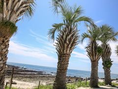 白浜フラワーパークの写真一覧 じゃらんnet 白浜フラワーパークの写真一覧 じゃらんnet