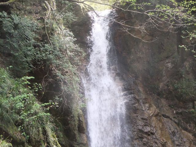 ���āE�����