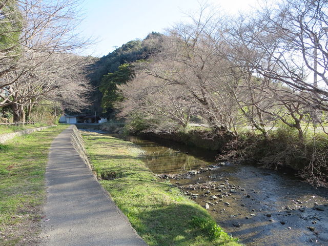 �v�R������n��