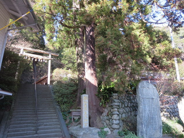 �v�R������n��