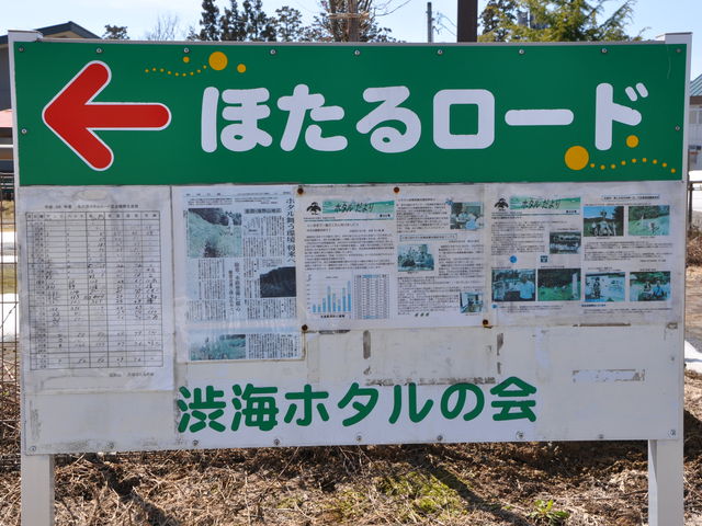 �z�H�ق���̗�