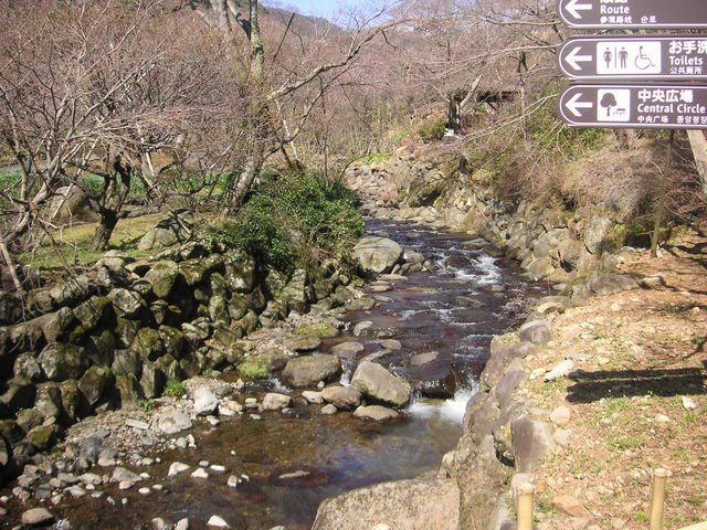 �M�C�~�������쐴��