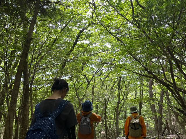 �A�E�g�h�A�X�e�[�V�������т�